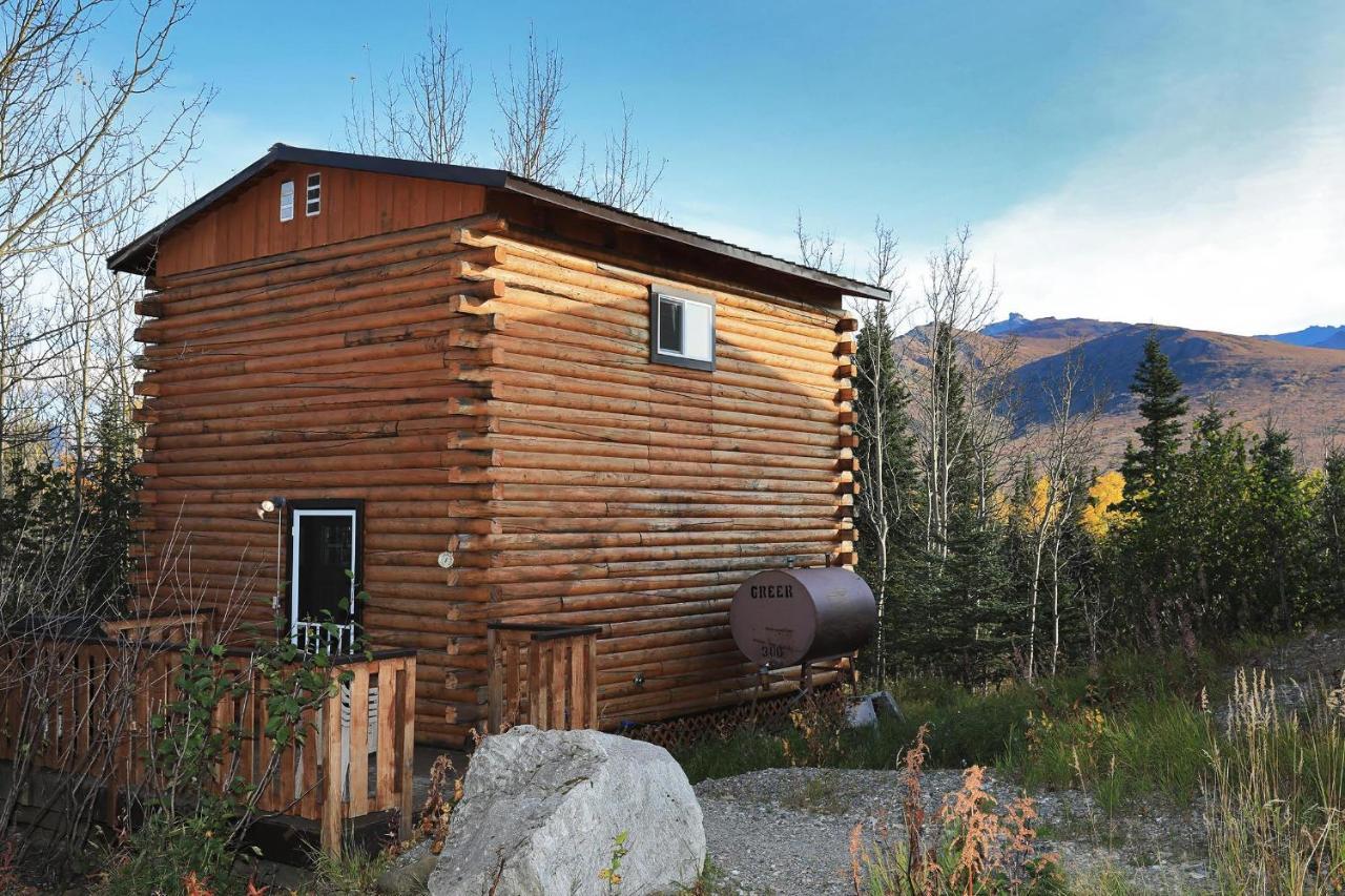 Denali Park View Family Log Cabin Εξωτερικό φωτογραφία